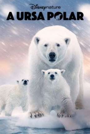 A Ursa Polar Dublado Online