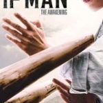 Ip Man – The Awakening